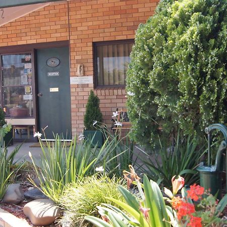 Ningana Motel Mudgee Buitenkant foto