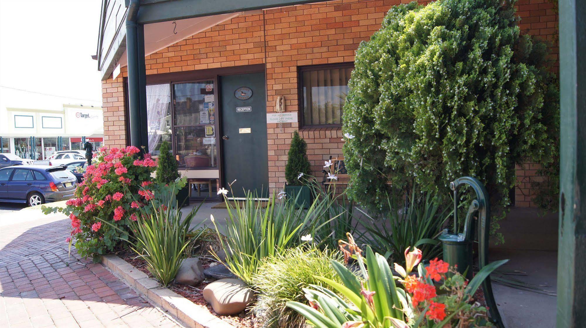 Ningana Motel Mudgee Buitenkant foto